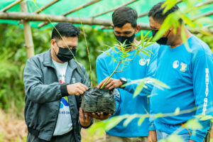 SMC Plants 3.5 Million Trees, Mangroves