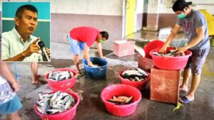 PH Records 8.3% Increase in "Bangus" Production