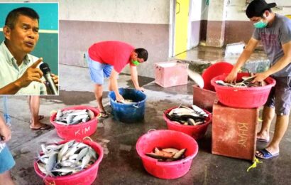 PH Records 8.3% Increase in “Bangus” Production