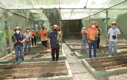 NLEX kicks off community farm project in Caloocan City