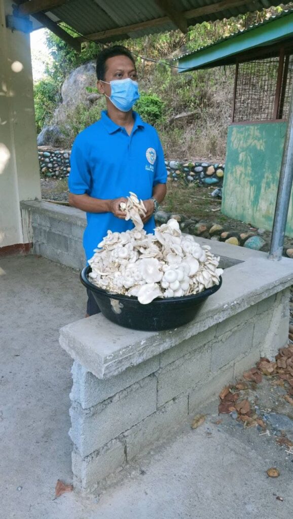 Mushroom Production Project Pangasinan