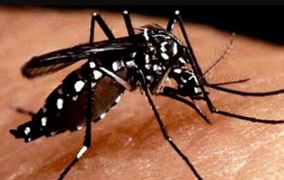 Bulacan, mas pinaigting ang kampanya at pagbabantay kontra dengue 