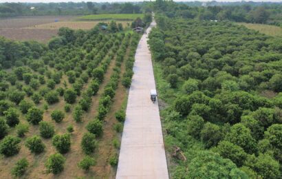 FARM-TO-MARKET ROAD SEEN TO BOOST LOCAL AGRI IN NUEVA ECIJA COMMUNITY