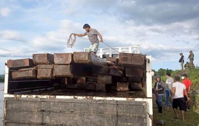 13,000 bd ft of illegal logs seized in NE