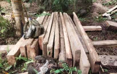 Troops confiscate Illegal logs in Gen Tinio