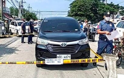 Police orders investigation of municipal consultant’s slay