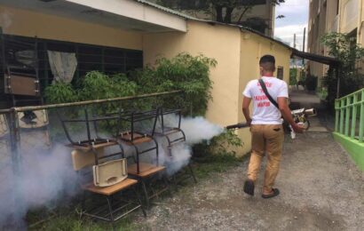 AC anti-dengue task force to conduct fumigation in 55 public schools