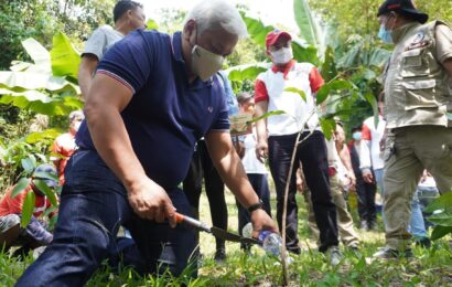 AC gov’t to plant more trees in Sapangbato Watershed