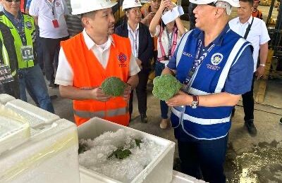 Smuggled vegetables seized in Subic Freeport