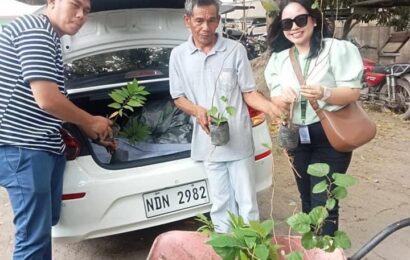 Mayor Lazatin urges Angeleños to plant trees in their homes