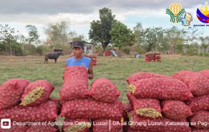 Pampanga town farmers to benefit from 20K bag capacity onion cold storage