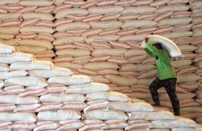 PhilRice recommends proper postharvest management of rice