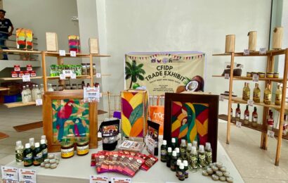 DTI trade event featuring Aurora processed coconut products earn P366K