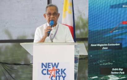 SBMA bares seaport, airport projects for completion in 2028