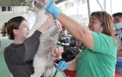 NLEX strengthens road safety initiatives through the ‘I Care for Strays’ program