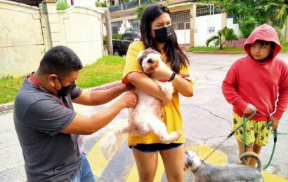 Lazatin to AC pet owners: Get your pets vaccinated