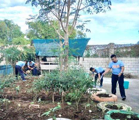 Nueva Ecija PPO-Maneuver Platoon launches urban gardenin