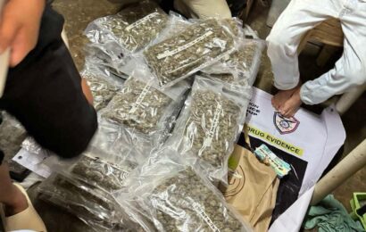 P46-M marijuana seized, 2 drug suspects arrested in Bulacan