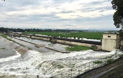 Bustos Dam stops releasing irrigation water to save standing rice crops