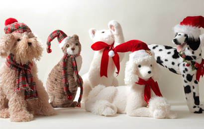 WONDERFUL HOLIDAYS IN OUR HOME