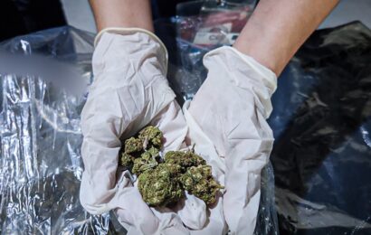 BOC Port of Clark seizes P1.068M worth of illegal drugs BOC Port of Clark seizes P1.068M worth of illegal drugs