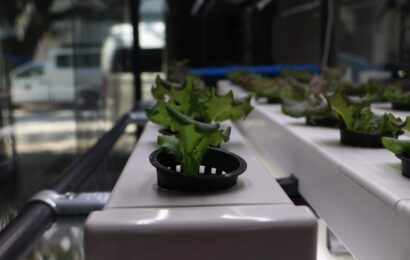 Sanyo Denki donates two Hydroponic System units to SBMA Sanyo Denki donates two Hydroponic System units to SBMA