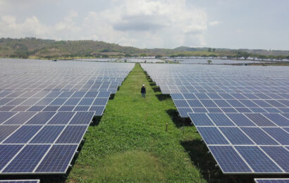 Why solar farms keep grass growing: safeguarding communities, waterways