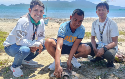 𝐄𝐍𝐃𝐀𝐍𝐆𝐄𝐑𝐄𝐃 𝐆𝐑𝐄𝐄𝐍 𝐒𝐄𝐀 𝐓𝐔𝐑𝐓𝐋𝐄 𝐑𝐄𝐒𝐂𝐔𝐄𝐃, 𝐑𝐄𝐋𝐄𝐀𝐒𝐄𝐃 𝐈𝐍 𝐂𝐀𝐒𝐈𝐆𝐔𝐑𝐀𝐍 𝐁𝐀𝐘