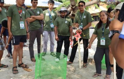 DENR strengthens marine turtle protection in Zambales
