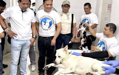 Bulacan PVO, pinangunahan ang nationwide spay at castration project