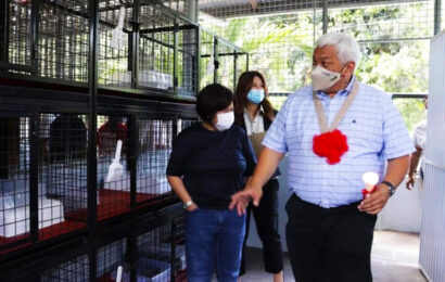CONG POGI PUSHES FOR ‘NO-KILL’ ANIMAL SHELTERS, PUBLIC VETS IN ALL CITIES, MUNICIPALITIES