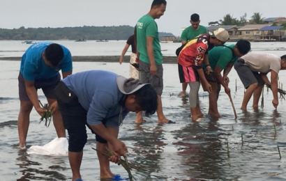 𝐃𝐄𝐍𝐑 𝐫𝐞𝐡𝐚𝐛𝐢𝐥𝐢𝐭𝐚𝐭𝐞𝐬 𝐦𝐚𝐧𝐠𝐫𝐨𝐯𝐞 𝐚𝐫𝐞𝐚 𝐢𝐧 𝐙𝐚𝐦𝐛𝐚𝐥𝐞𝐬