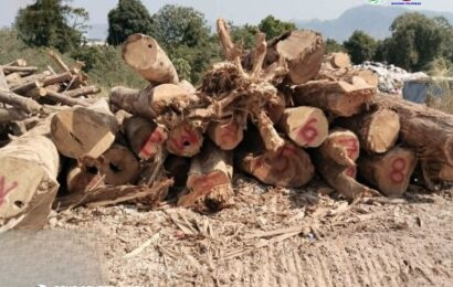 𝐃𝐄𝐍𝐑 𝐭𝐮𝐫𝐧𝐬 𝐨𝐯𝐞𝐫 𝐥𝐨𝐠𝐬 𝐭𝐨 𝐬𝐮𝐩𝐩𝐨𝐫𝐭 𝐂𝐨𝐚𝐬𝐭 𝐆𝐮𝐚𝐫𝐝 𝐨𝐩𝐞𝐫𝐚𝐭𝐢𝐨𝐧𝐬