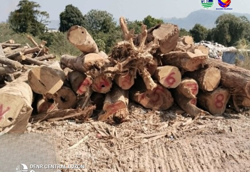 𝐃𝐄𝐍𝐑 𝐭𝐮𝐫𝐧𝐬 𝐨𝐯𝐞𝐫 𝐥𝐨𝐠𝐬 𝐭𝐨 𝐬𝐮𝐩𝐩𝐨𝐫𝐭 𝐂𝐨𝐚𝐬𝐭 𝐆𝐮𝐚𝐫𝐝 𝐨𝐩𝐞𝐫𝐚𝐭𝐢𝐨𝐧𝐬