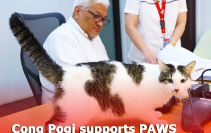 CONG POGI SUPPORTS PAWS CALL FOR FREE SPAY, NEUTER IN LGUs
