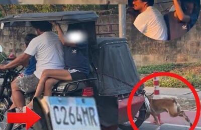 CONG POGI CALLS ON LTO, PTRO ANGELES TO IDENTIFY TRIKE DRIVER IN ALLEGED ANIMAL ABUSE