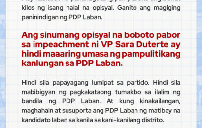 PDP Laban releases statement on VP’s Impeachment, position on political accountability
