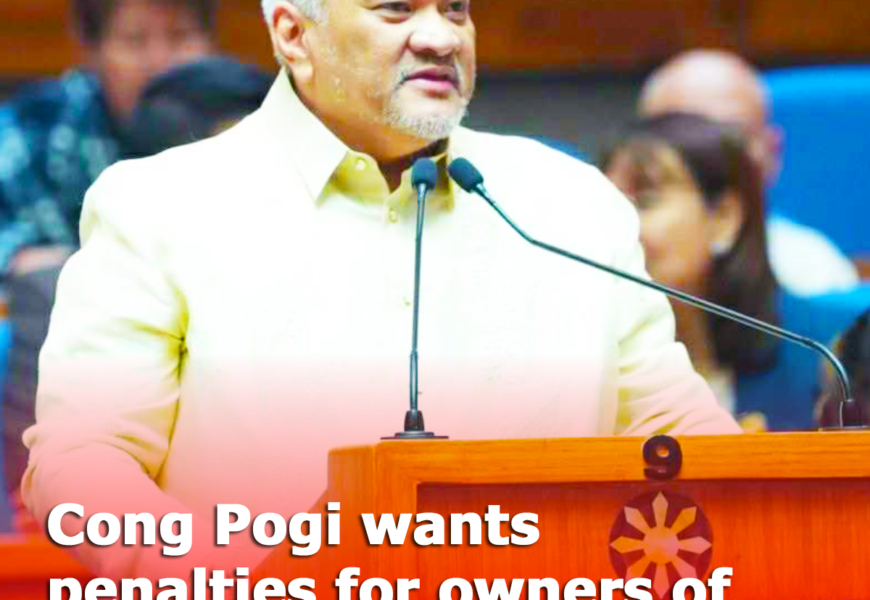 CONG POGI WANTS PENALTIES FOR OWNERS OF GUNS ACCESSED BY MINORS