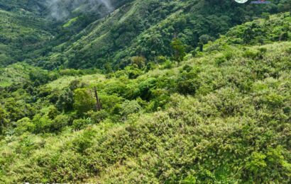 DENR partners with private groups to restore, protect forestlands in Tarlac