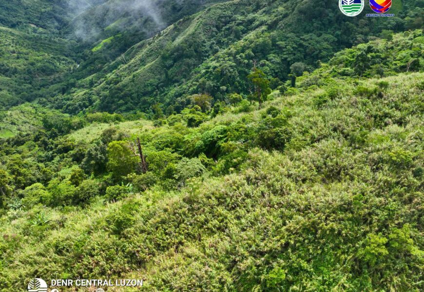 DENR partners with private groups to restore, protect forestlands in Tarlac