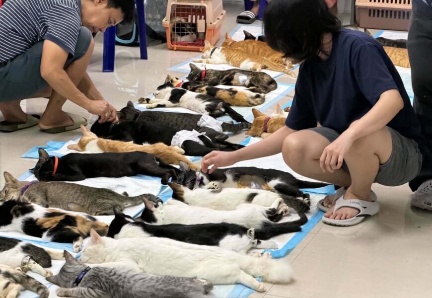 Bulacan, binigyang halaga ang kapakanan ng mga hayop sa pamamagitan ng libreng vet care sa Singkaban Festival Bulacan, binigyang halaga ang kapakanan ng mga hayop sa pamamagitan ng libreng vet care sa Singkaban Festival