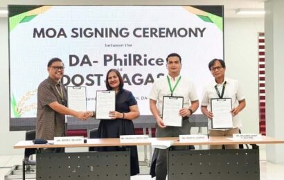 PH rice sector taps climate data as El Niño risks intensify